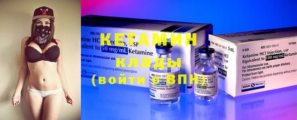 шишки Вязники