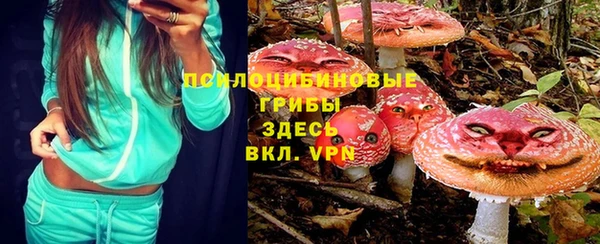 PSILOCYBIN Володарск