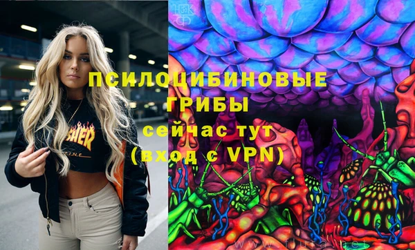 PSILOCYBIN Володарск